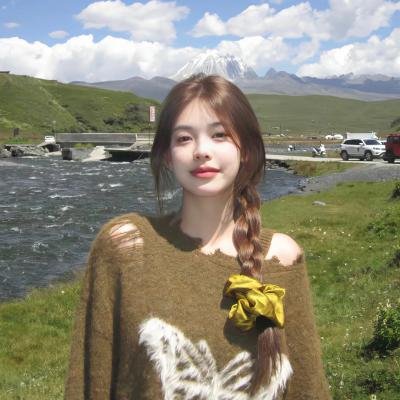 铁胆双雄
